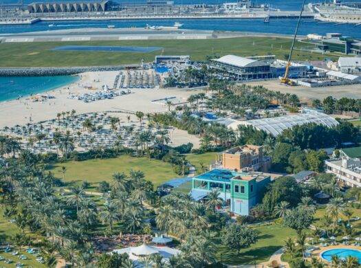 aerial view of green trees and buildings during daytime