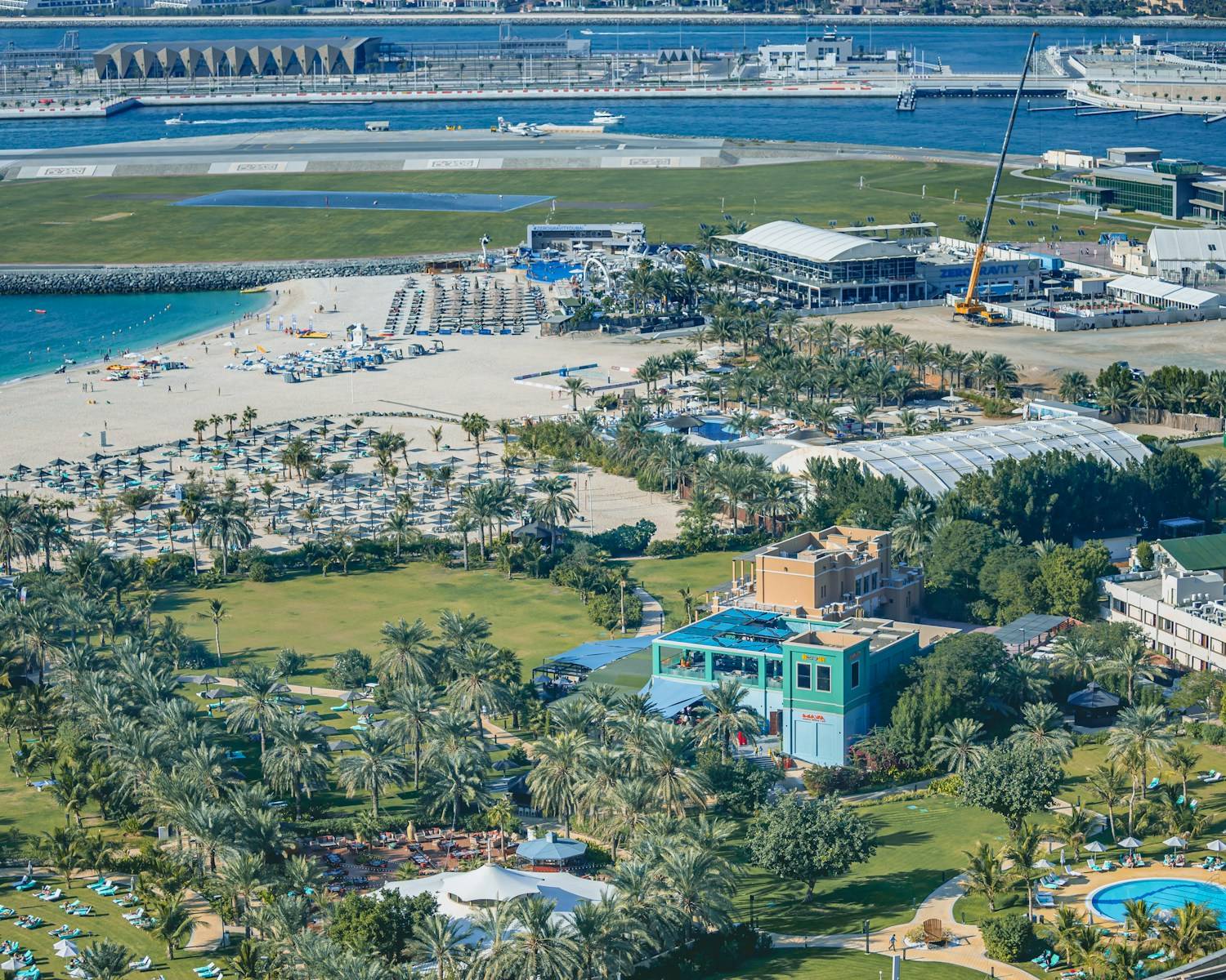 aerial view of green trees and buildings during daytime